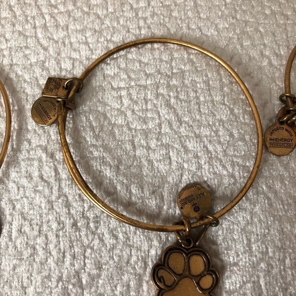 Alex and Ani charm bracelets - Picture 3 of 4
